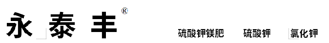 pg电子游戏试玩(中国)官方网站